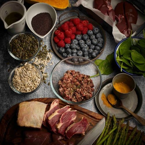 Picture by Ethically Raised