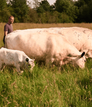 Great Cotmarsh Farm main image