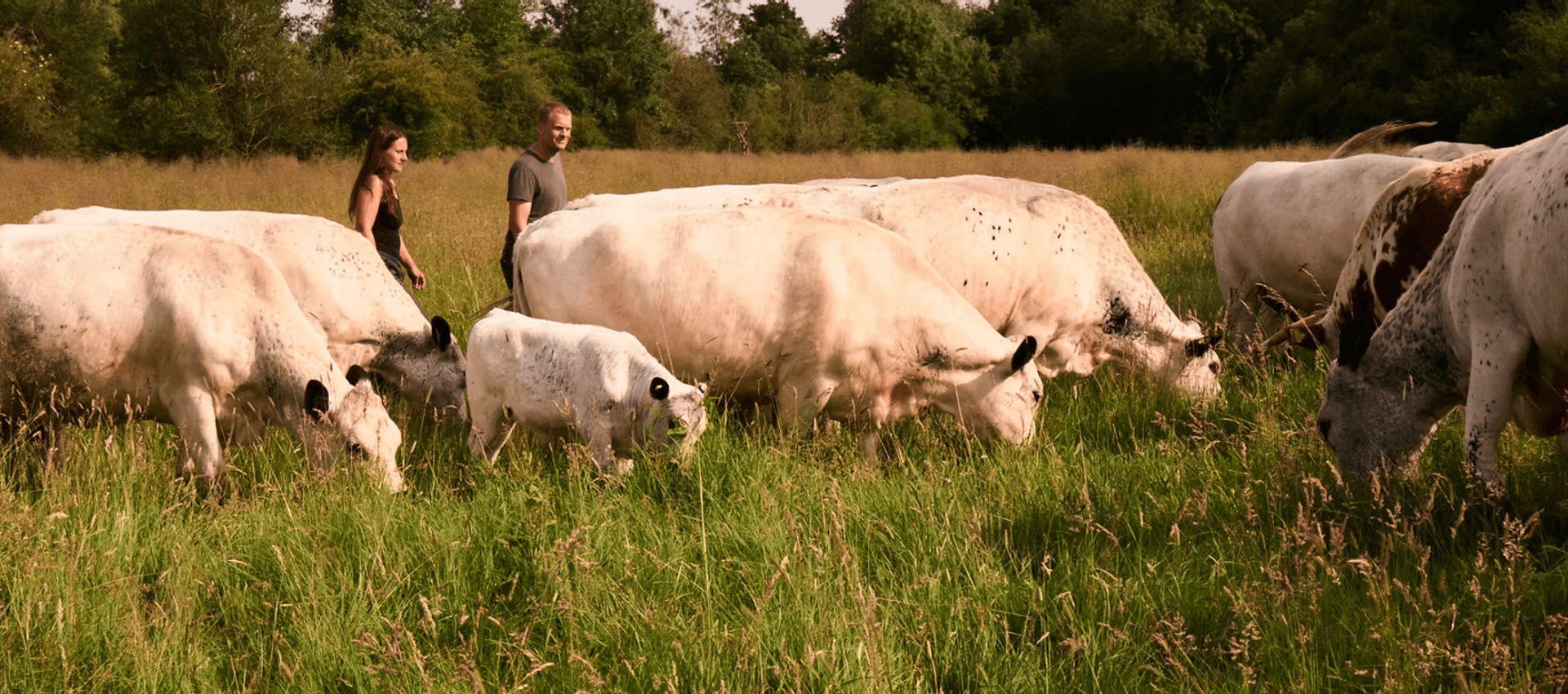 Great Cotmarsh Farm main image
