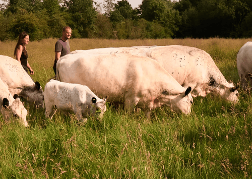 Great Cotmarsh Farm main image