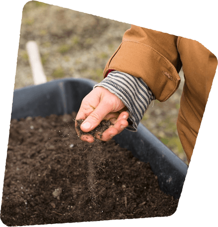 Soil