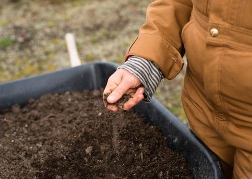 Soil