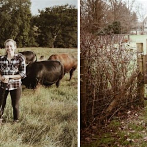 meta image for Visit to Old Lands Regenerative Farm Cluster