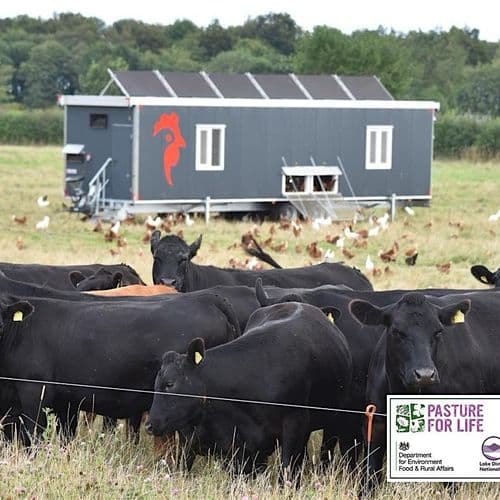 meta image for Mallard Grange Farm: Embracing Regenerative Principles on a Mixed Farm