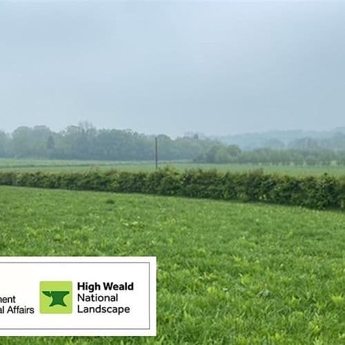 meta image for Using Hedges, Compost & a Wood Chipper to Enhance the Natural Environment