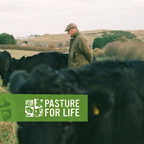 meta image for Thriving Stock, Thriving Farm: Adding Value to Your Animal Health Plan