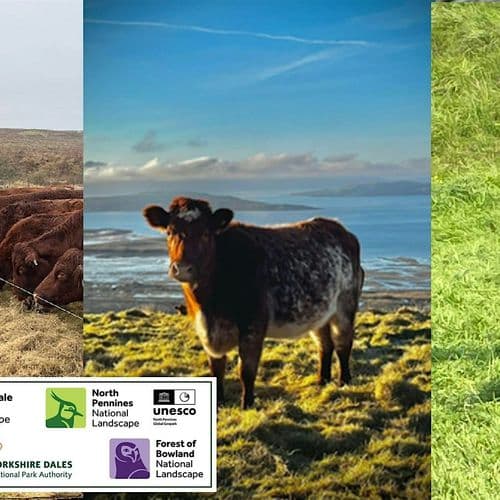 meta image for Study Tour To  South West Scotland