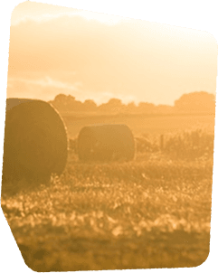 Sustainable farming