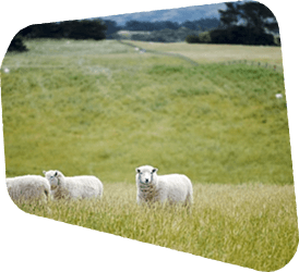 Sustainable farming