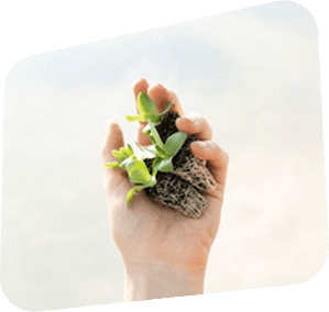 Sustainable farming