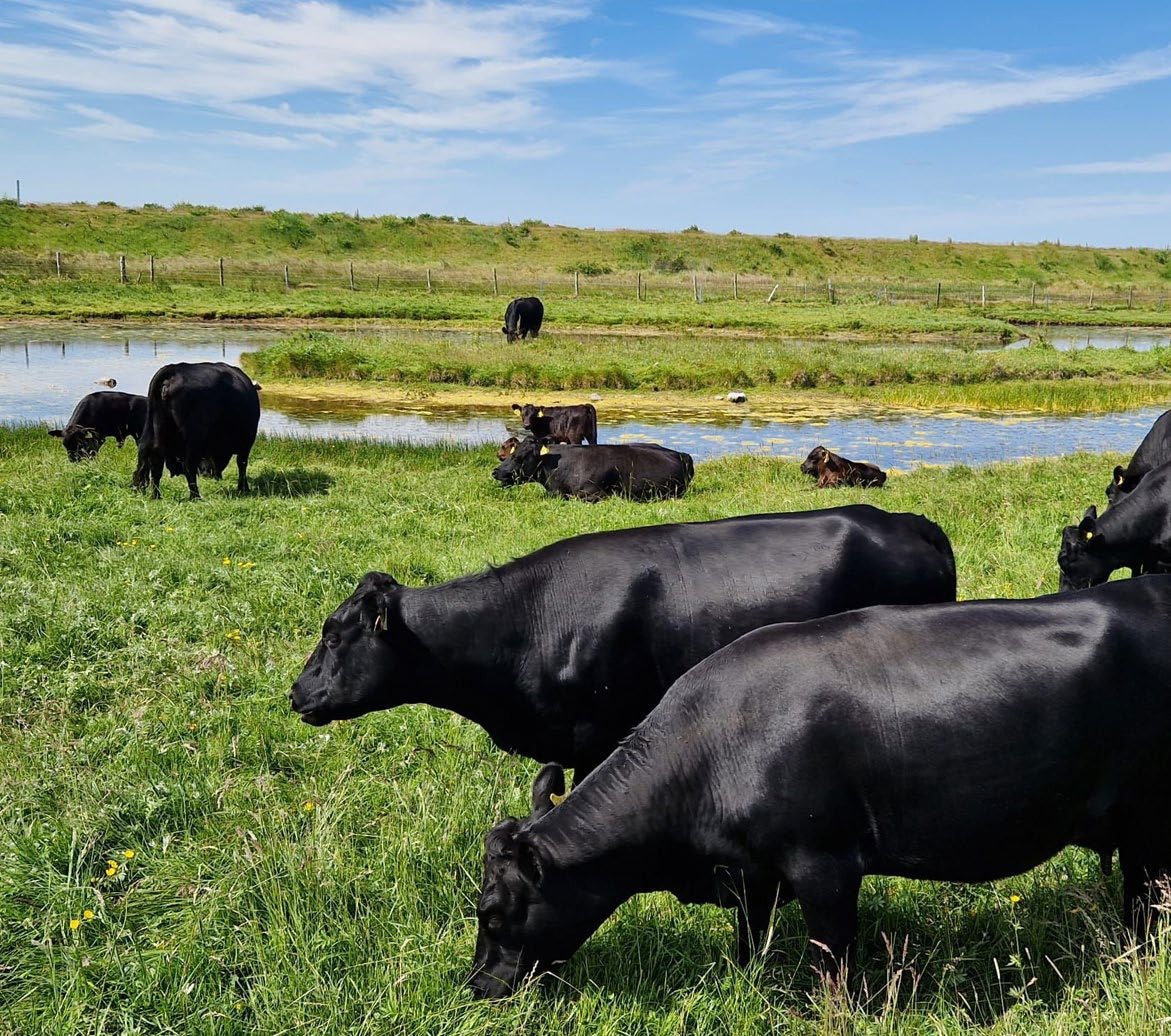 Annual Report 2023/24