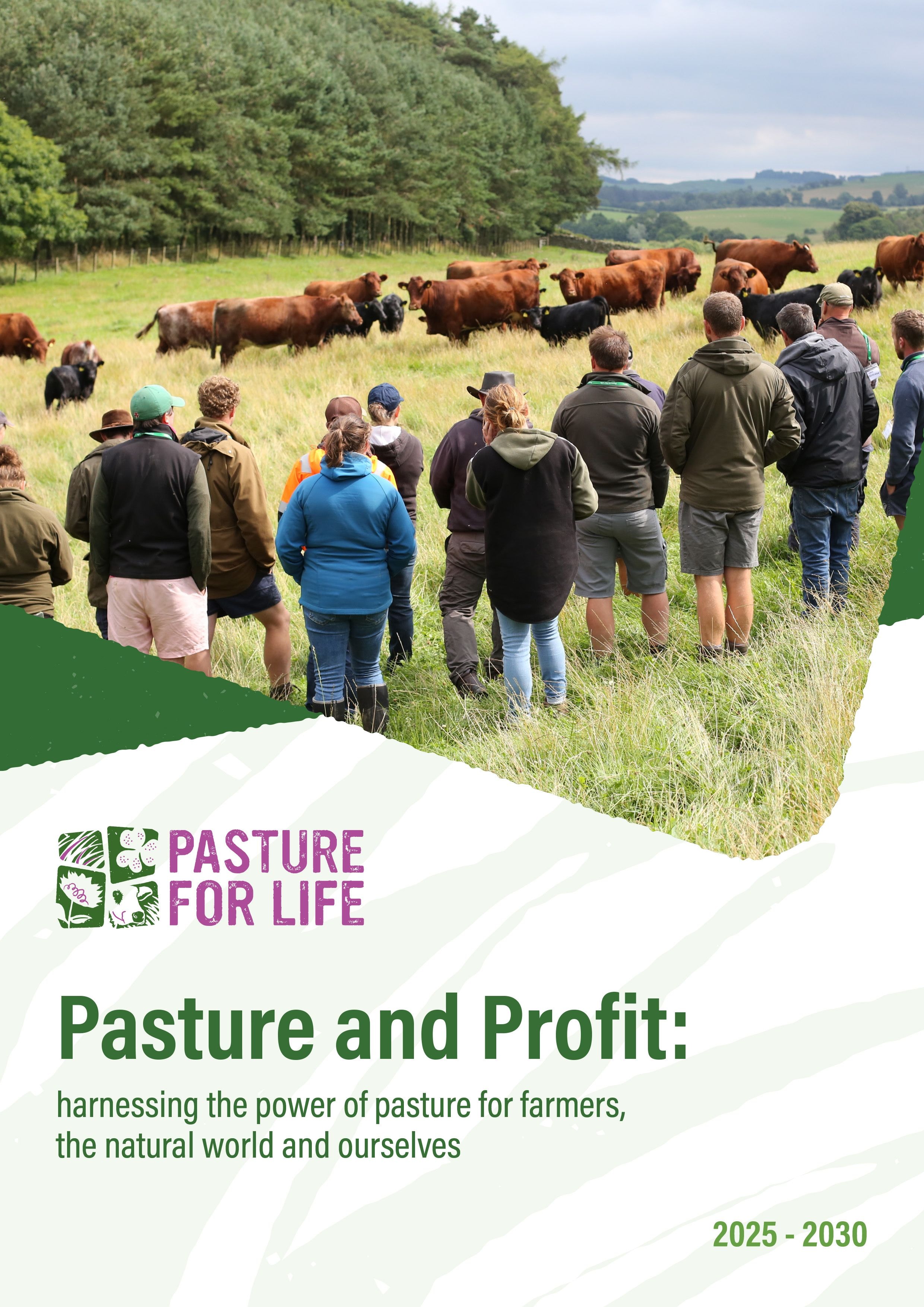 Shortened Business Plan